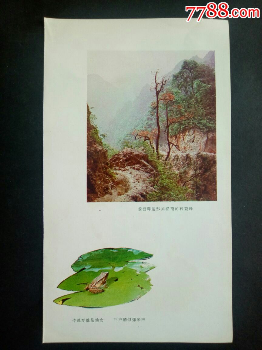 石笋峰-年画/宣传画-7788宣传画收藏