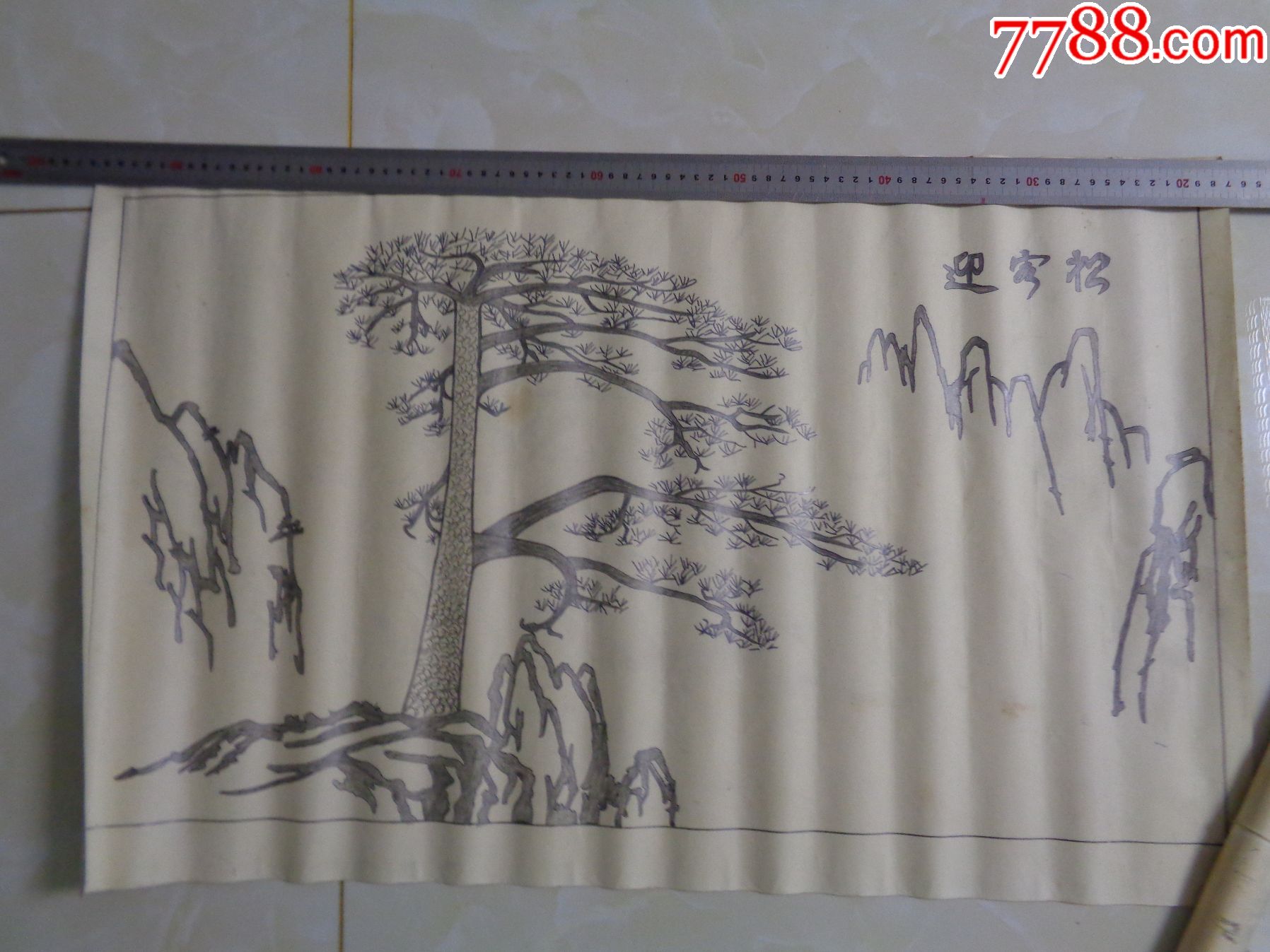 迎客松_素描/速写_美丽芜湖半山半水【7788收藏__收藏