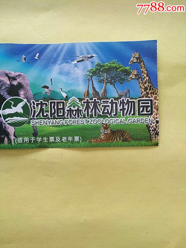 沈阳森林动物园门票多张合售(含一张半价票和两张观光