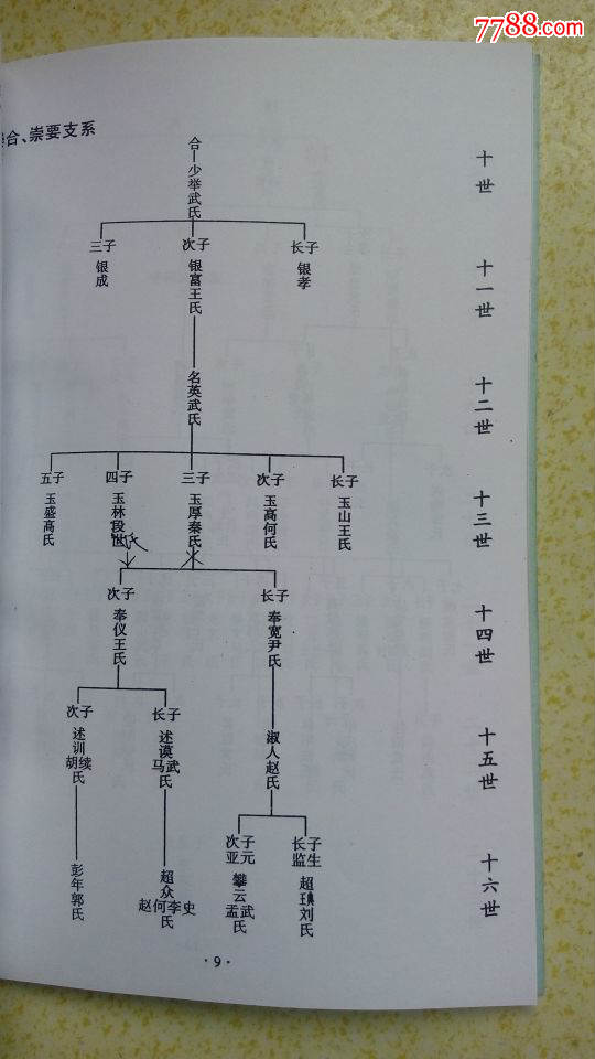 栗氏宗谱栗氏建祠修谱领导组主办全书71页封底槐树街古槐树