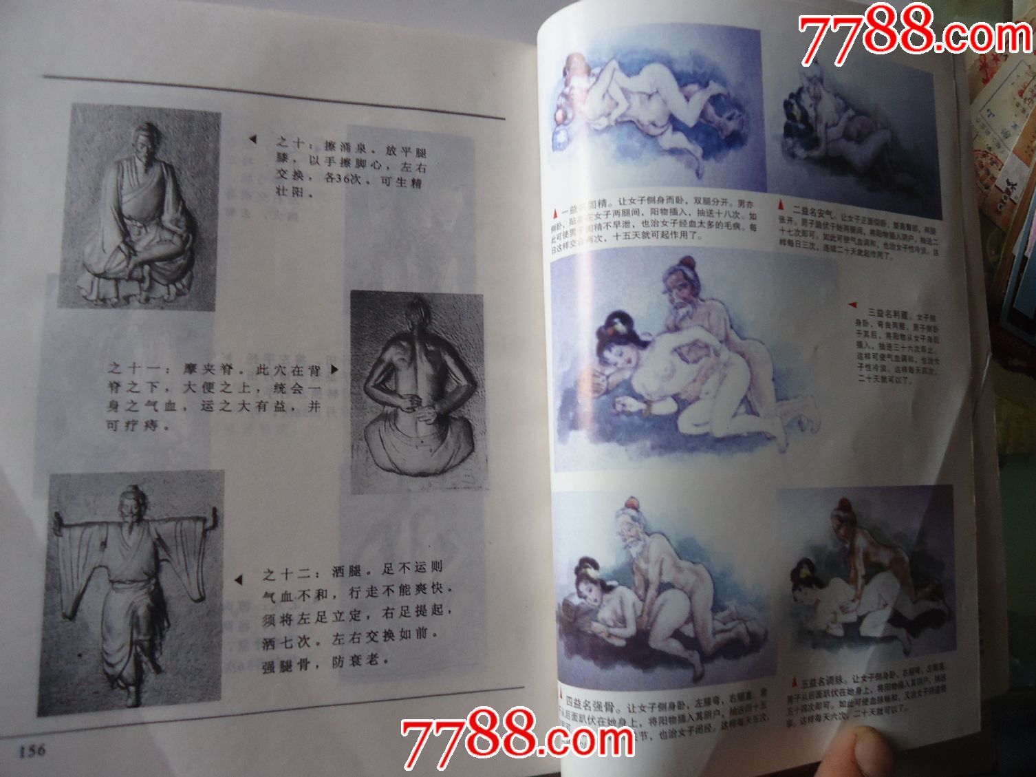 仙山彭祖长寿术