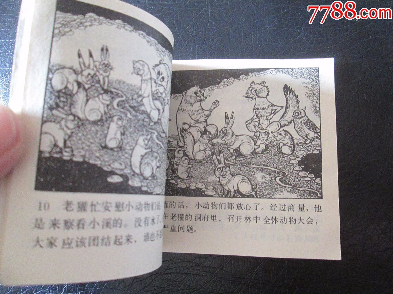 动物远征队(上,岁末清仓)量少