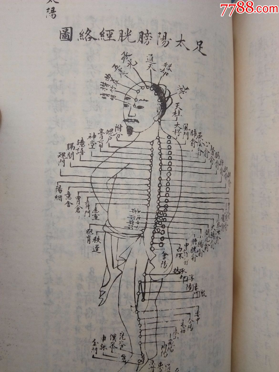 影印本《针灸内篇》(84年1版87年2印,中医古籍出版社