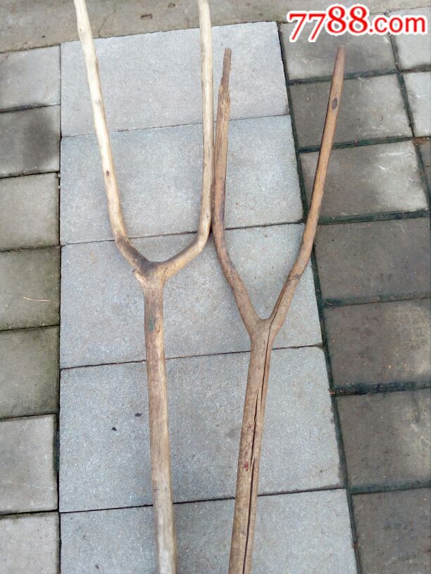 木叉