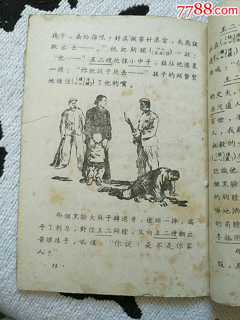 王二嫂【语文补充读物】1954年～淮河边上的儿女
