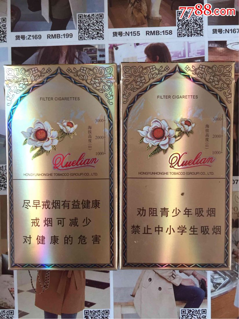 新疆--雪莲--本公司提示16版一对_第2张_7788收藏__中国收藏热线
