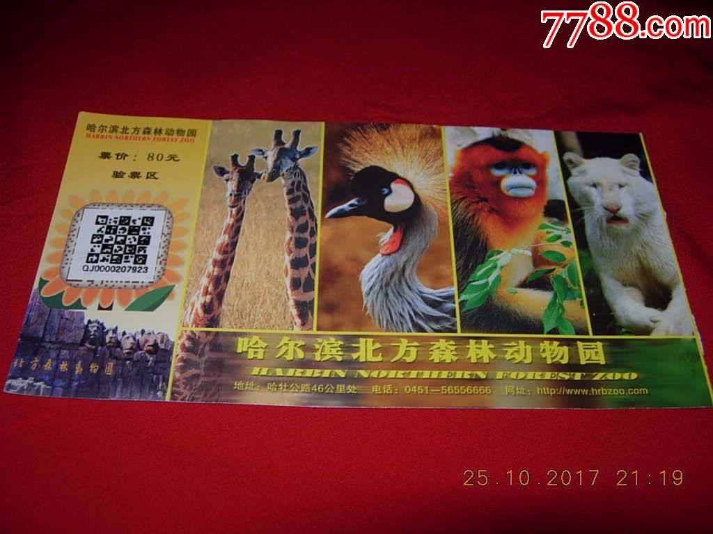 哈尔滨北方森林动物园门票