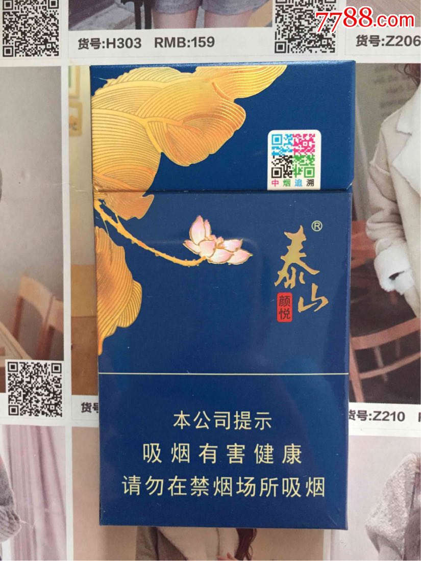 山东--泰山颜悦(16尽早版)【魔都集藏】_第1张_7788收藏__收藏热线