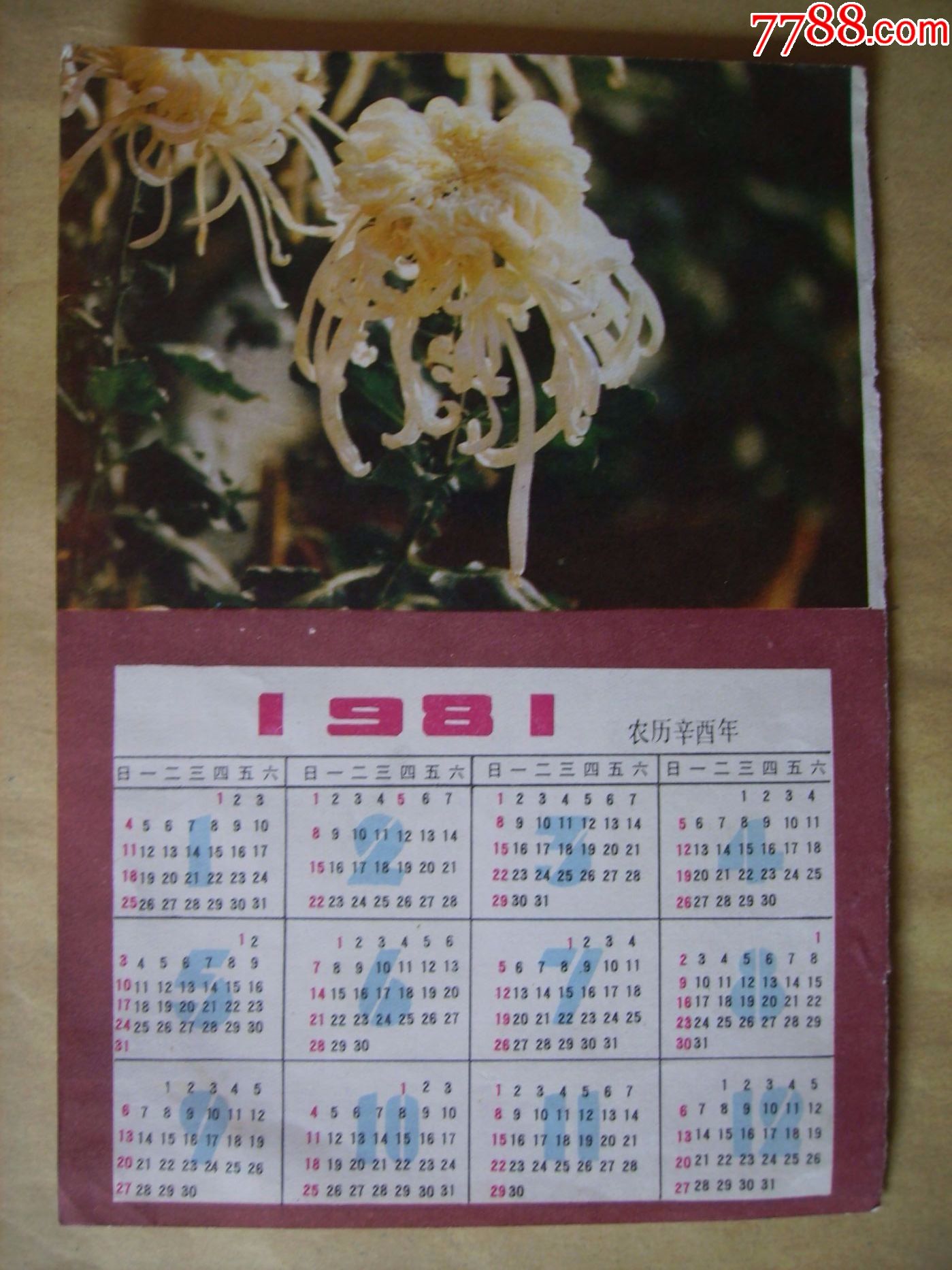 1981年花卉日历(美品)