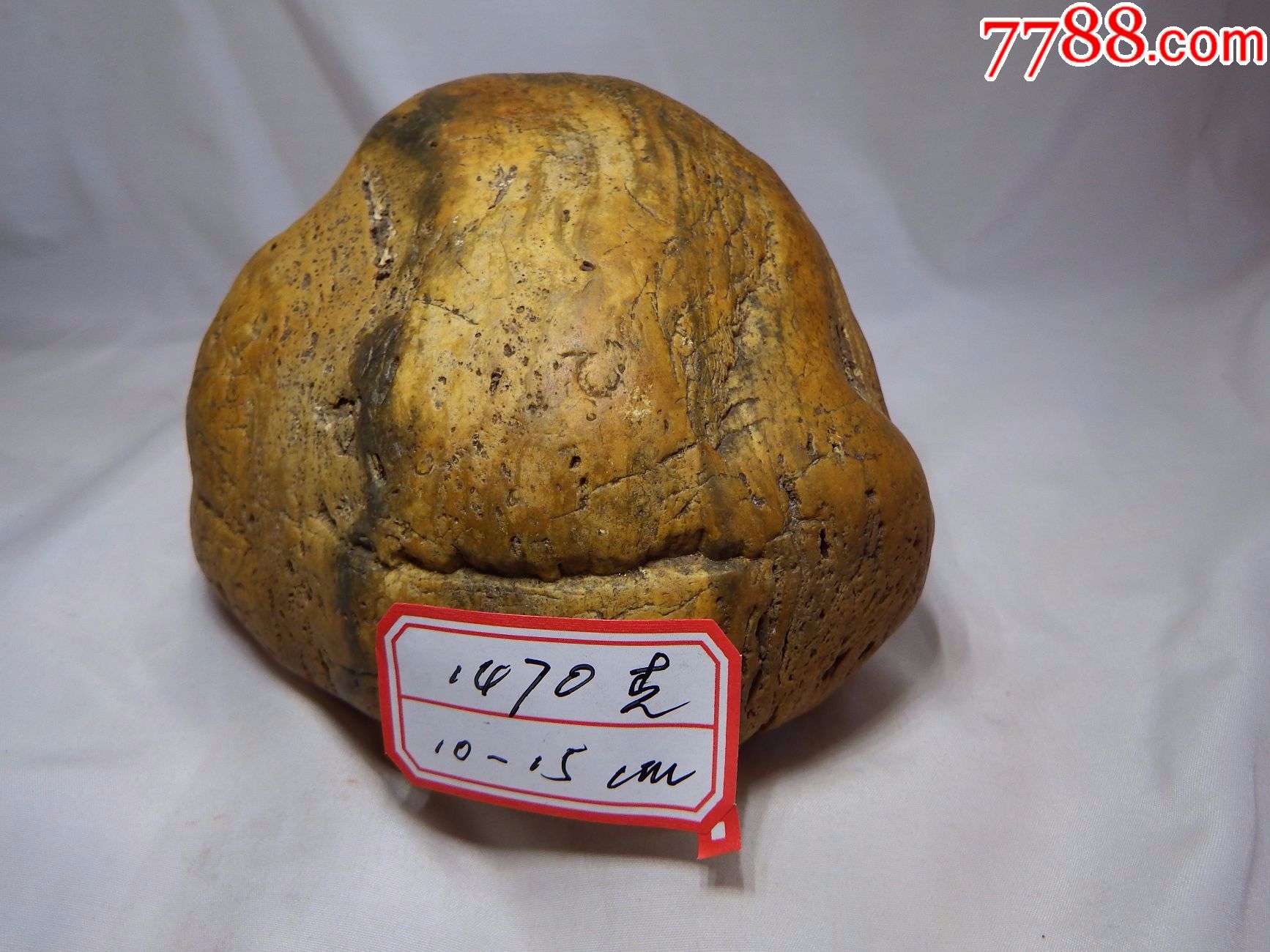 黄金陨石"萌娃"