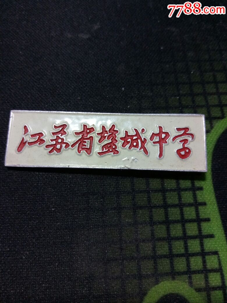 江苏省盐城中学校徽