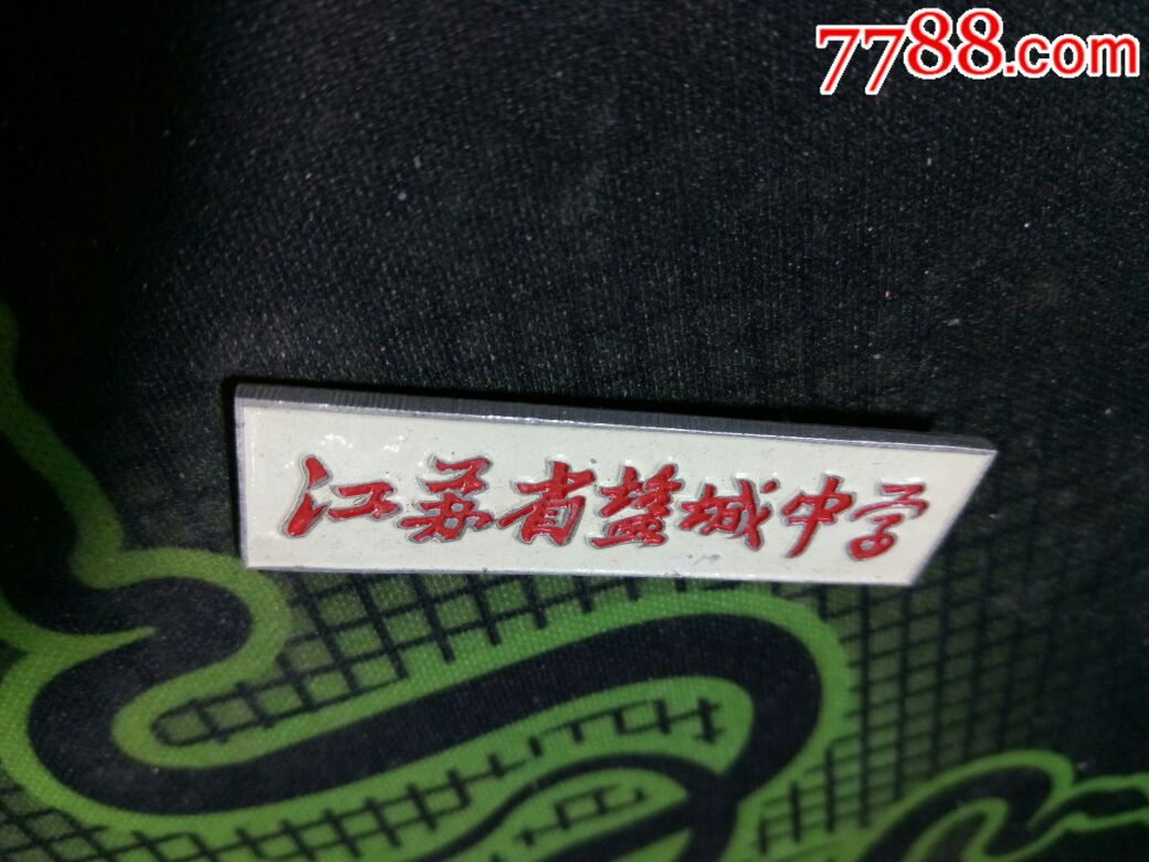 江苏省盐城中学校徽