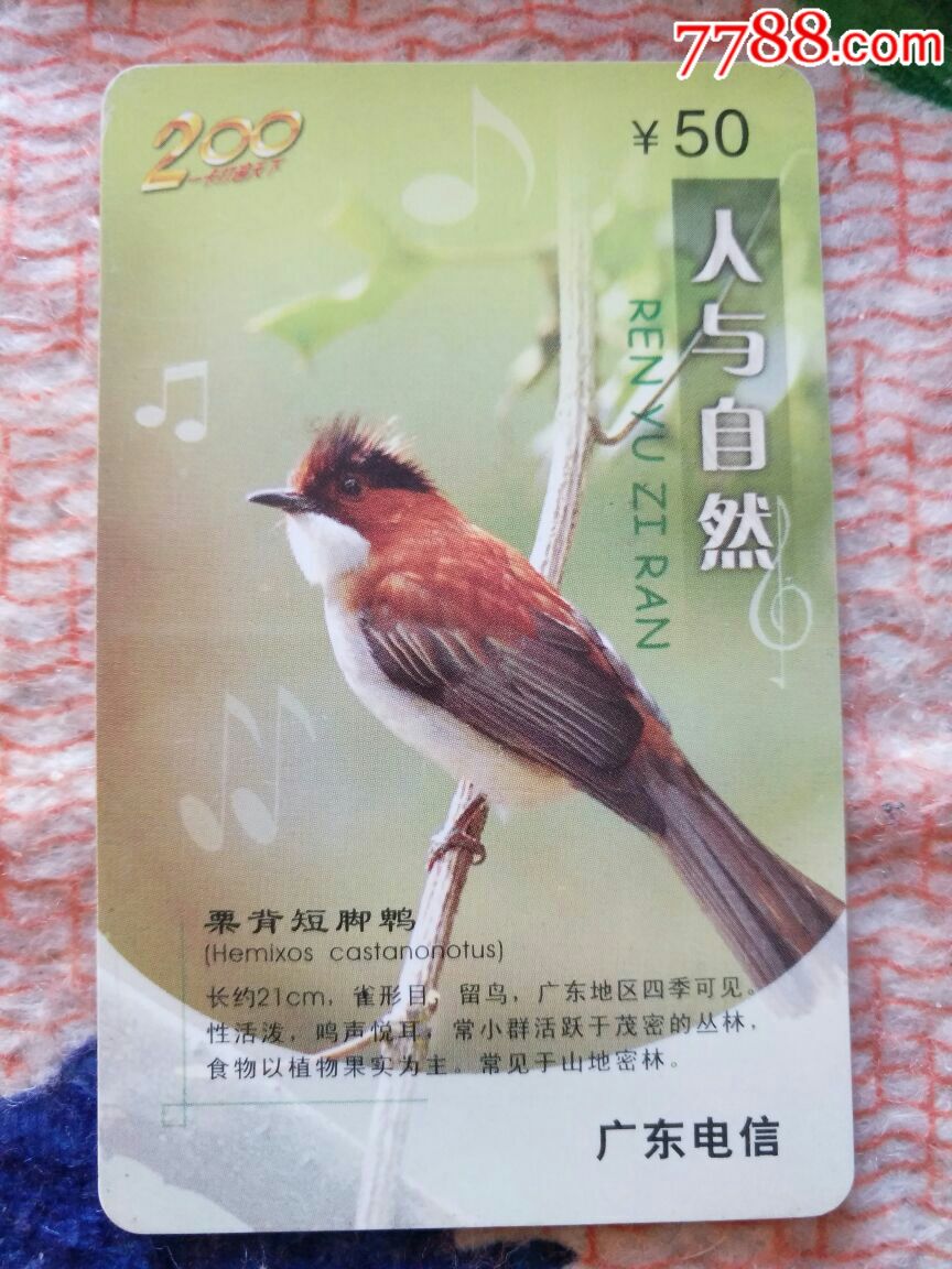 人与自然
