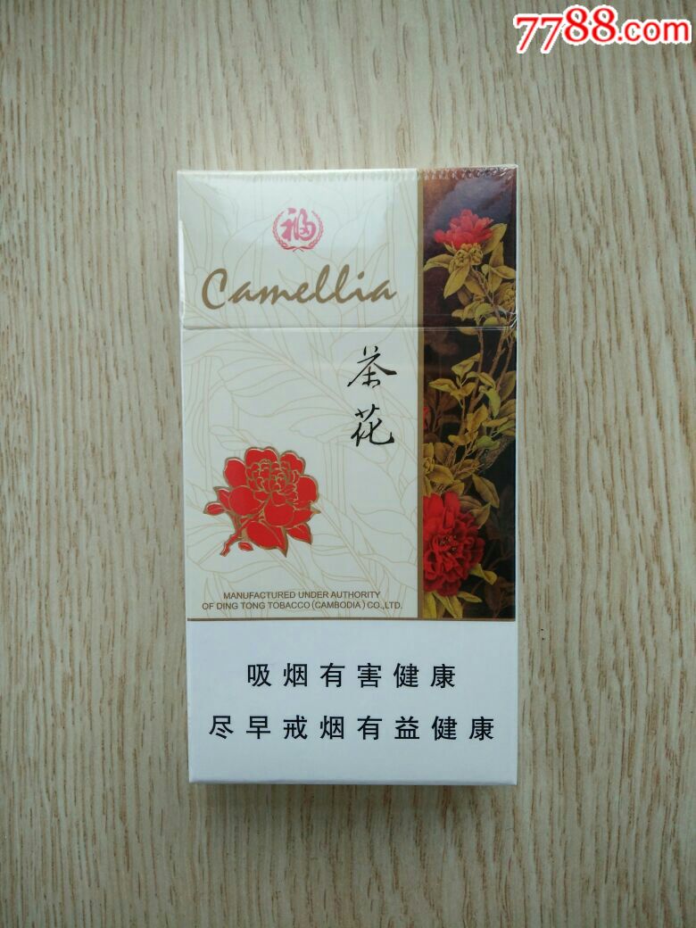 细支茶花