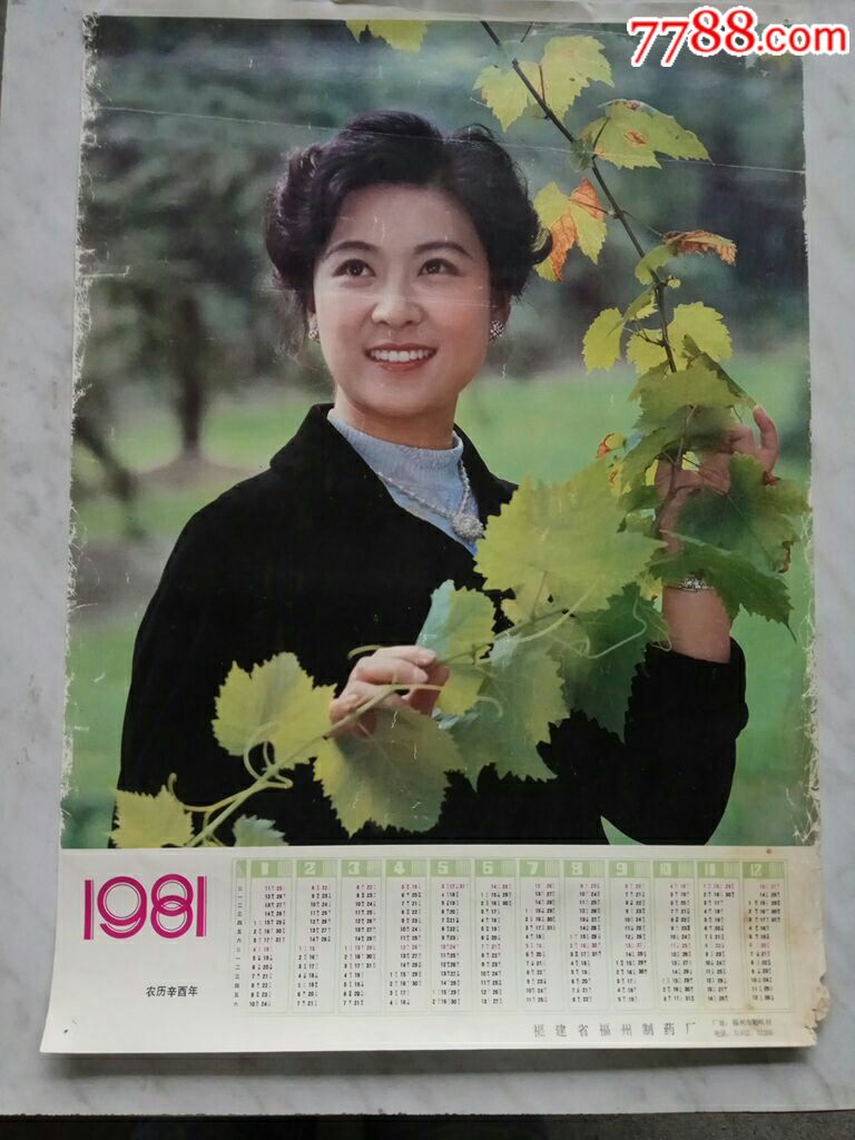 1981年美女明星(王馥荔?)年历画