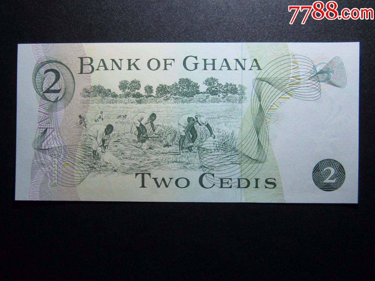加纳2塞地1977年全新UNC外国钱币保真