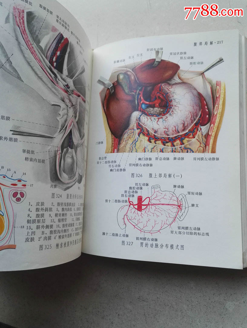 1973年大32开带语录硬装本《人体解剖图谱》