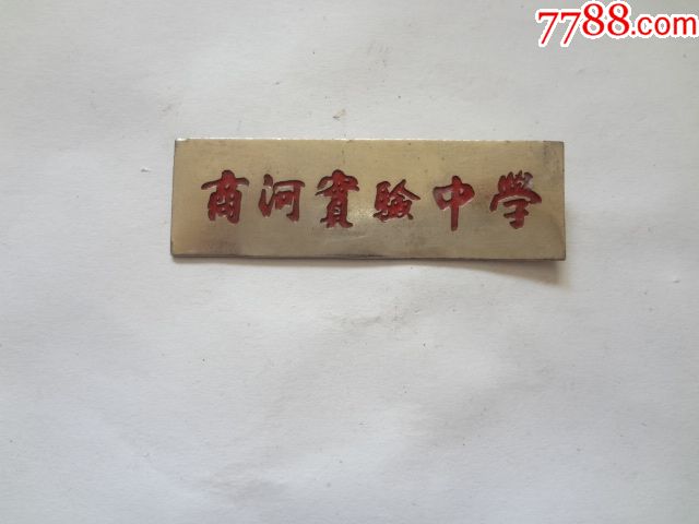 商河实验中学校徽