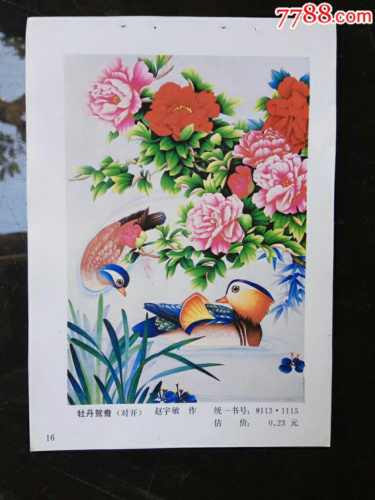 牡丹鸳鸯赵宇敏作