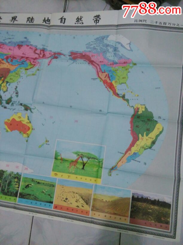 中学地理教学挂图一世界陆地自然带