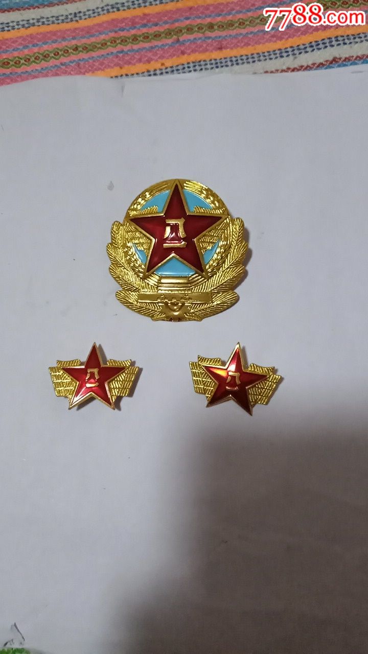 退役大空军帽徽领花