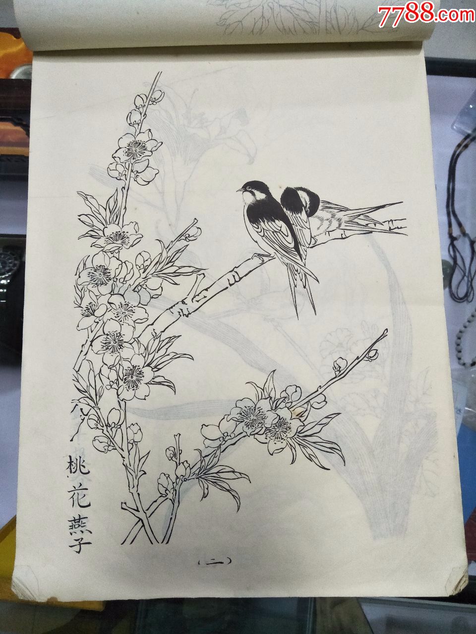 16开工笔线描花鸟画一本67页画得很好