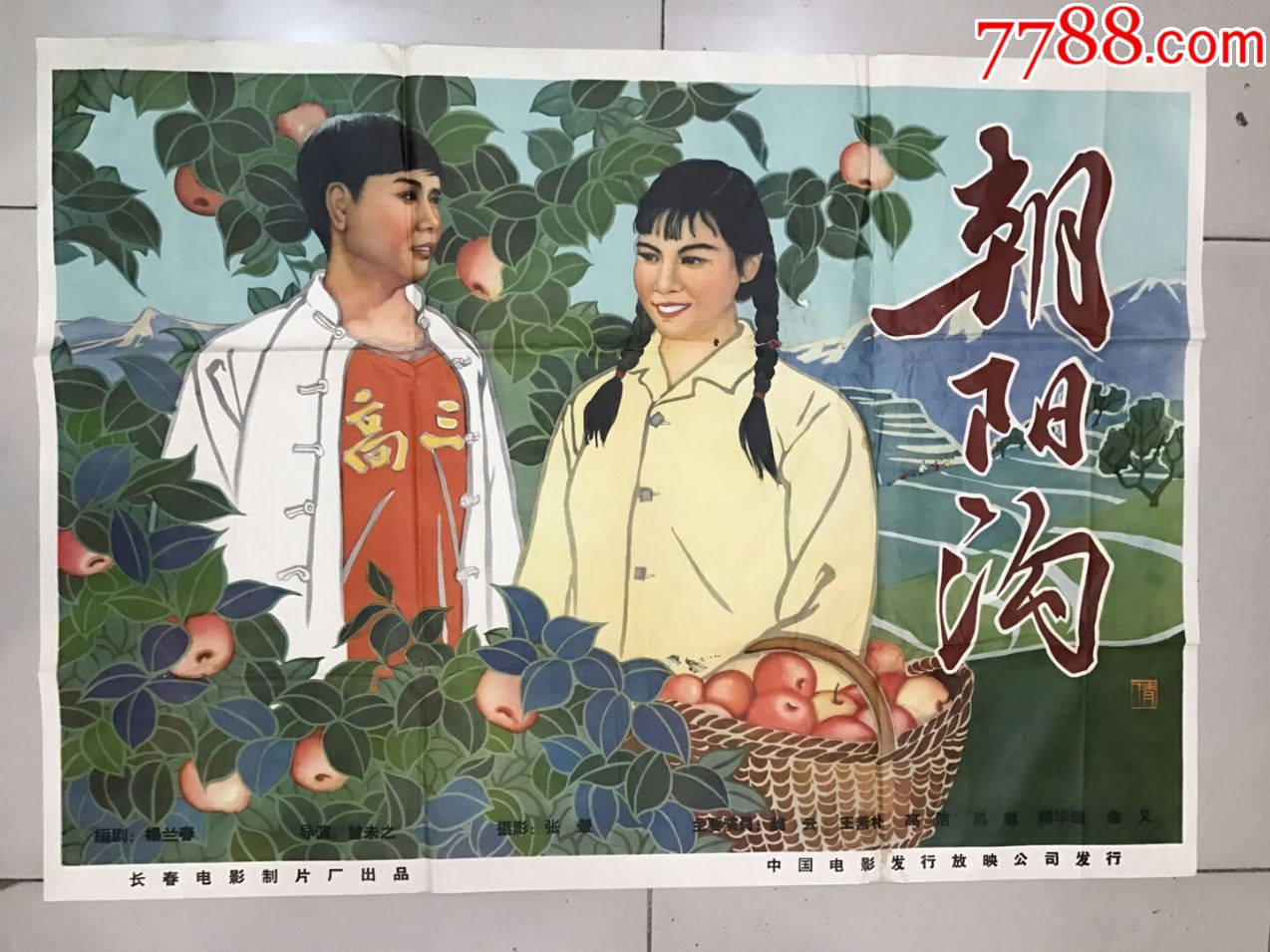 朝阳沟