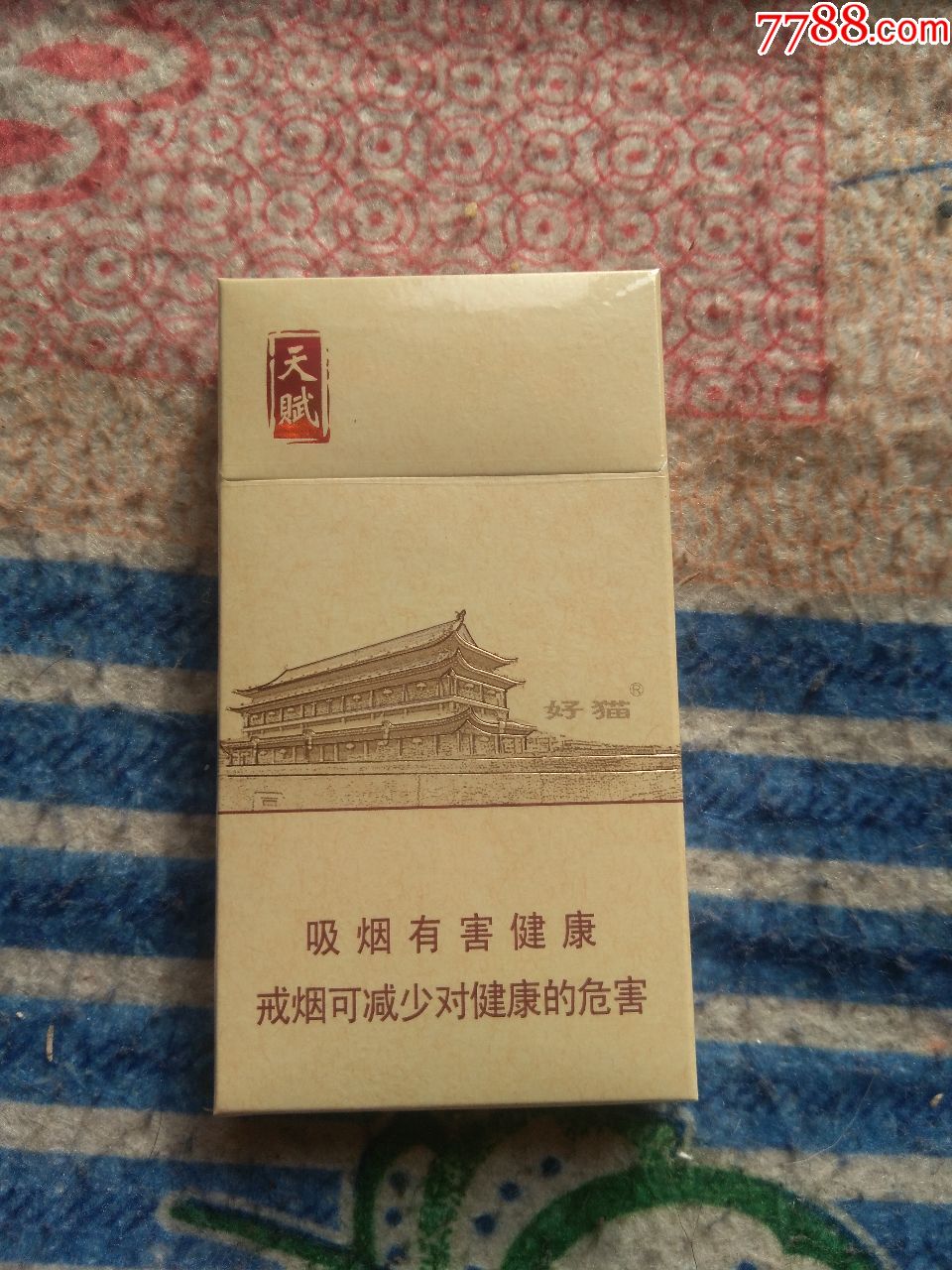 好猫天赋