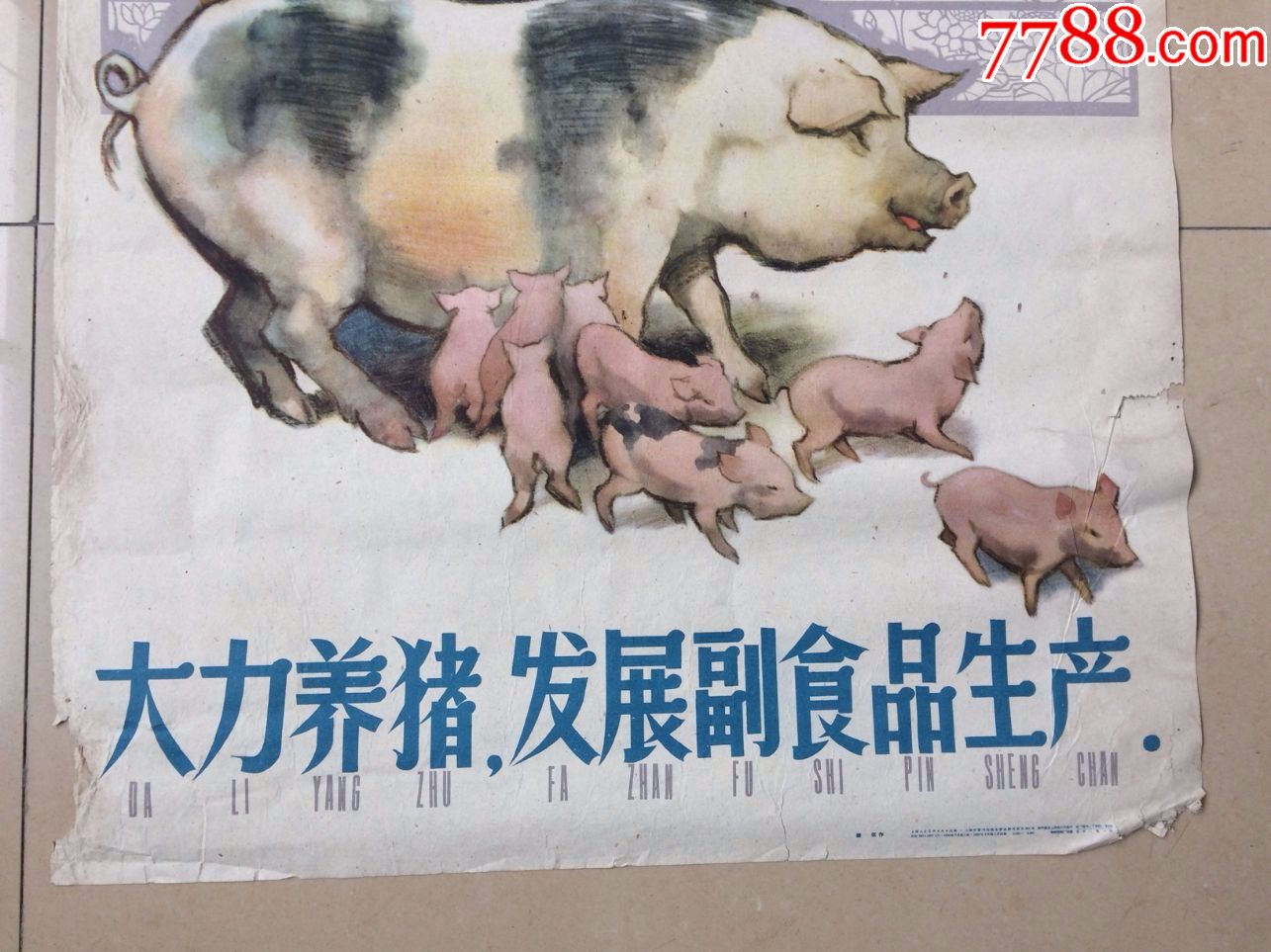 1959年大力养猪发展副食品生产宣传画对开品如图