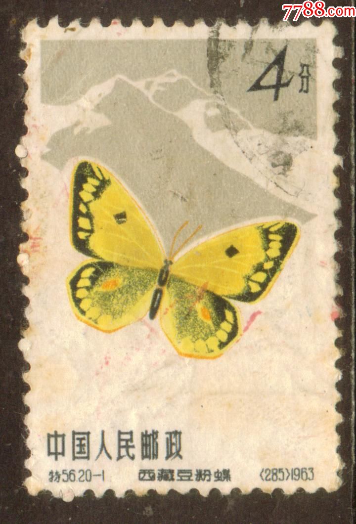 特56蝴蝶20-1信销邮票中上品(背薄)
