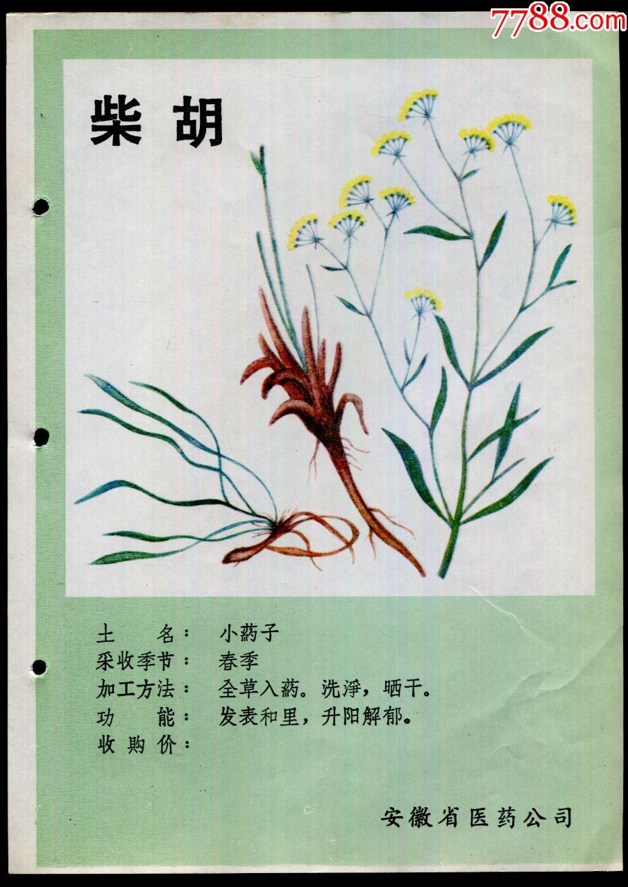 柴胡中药材广告