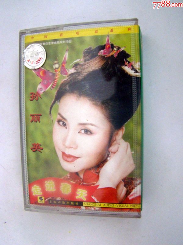 孙丽英---走进春天