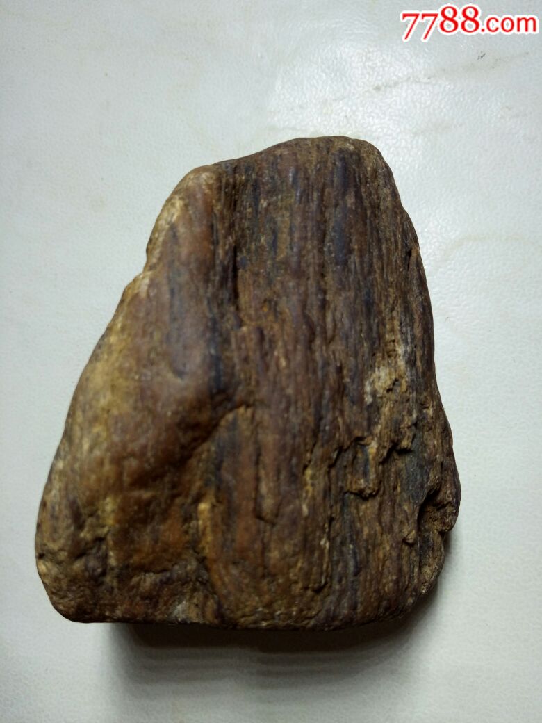 硅化木,木化石(精品)