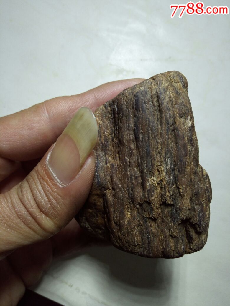 硅化木,木化石(精品)_价格200.
