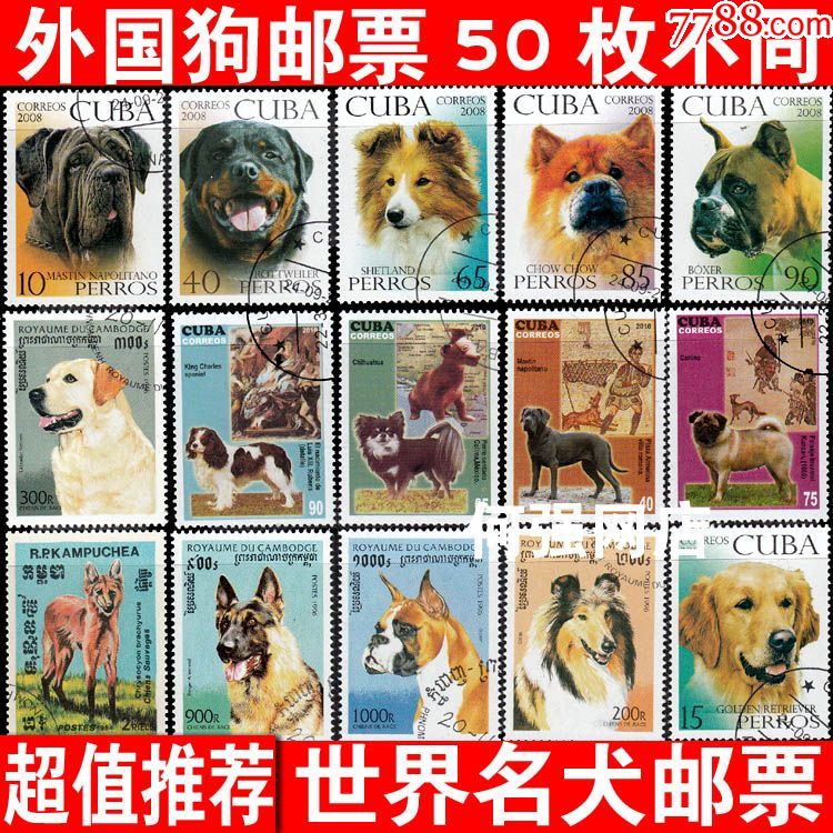 外国狗邮票50枚不重复世界名犬宠物狗盖销票收藏集邮优惠价出售