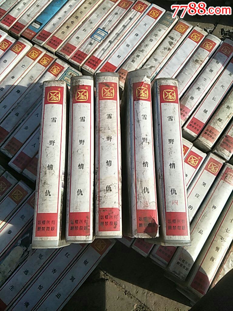 录像带电视剧《雪野情仇》全集