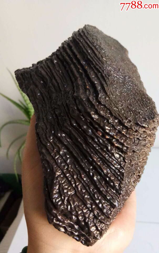 精品层层纹路泥石