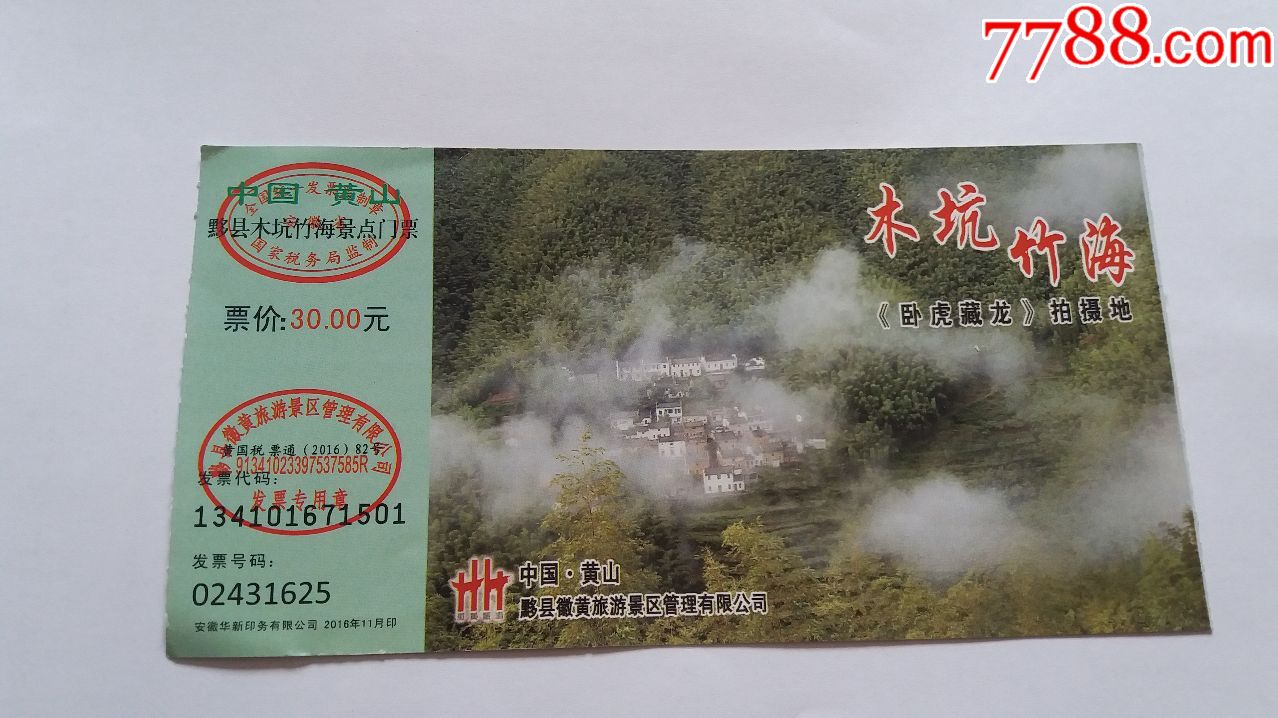黔县木坑竹海