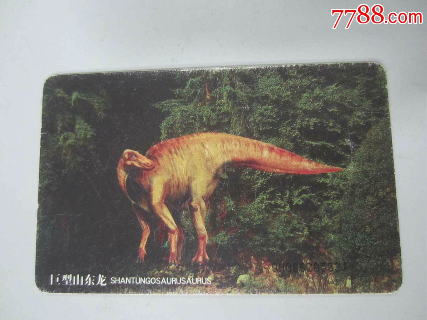 巨型山东龙电话卡