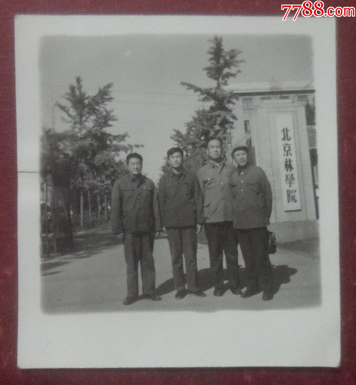 "北京林学院"-老照片-7788收藏