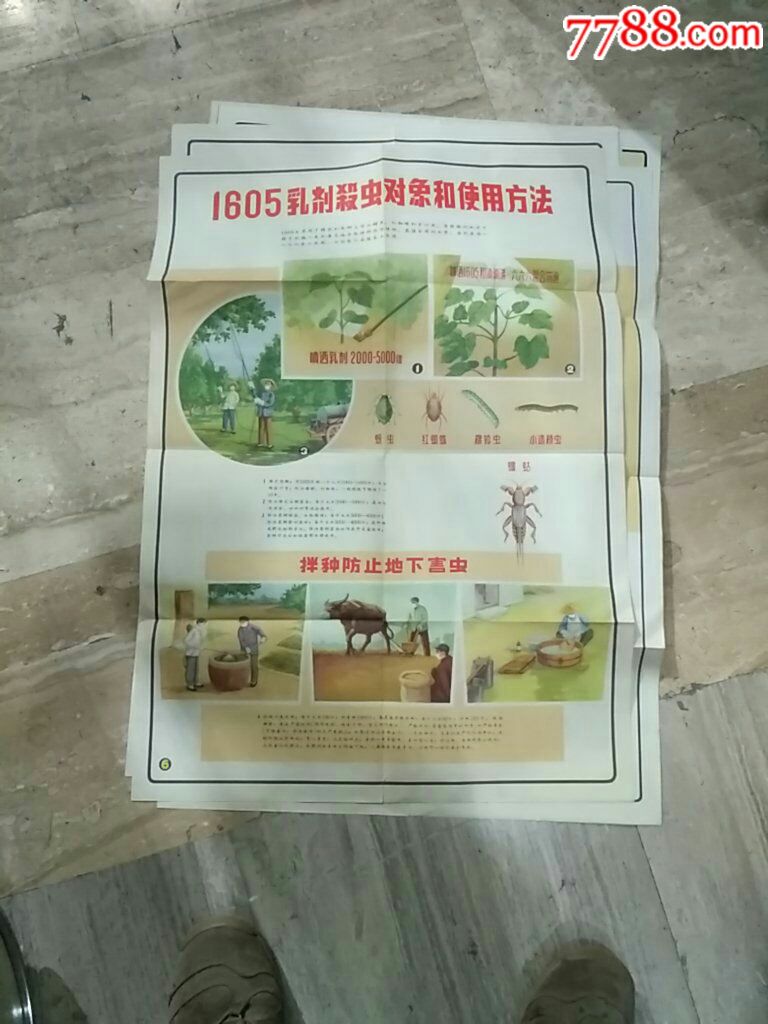 几种有机磷农药安全使用挂图