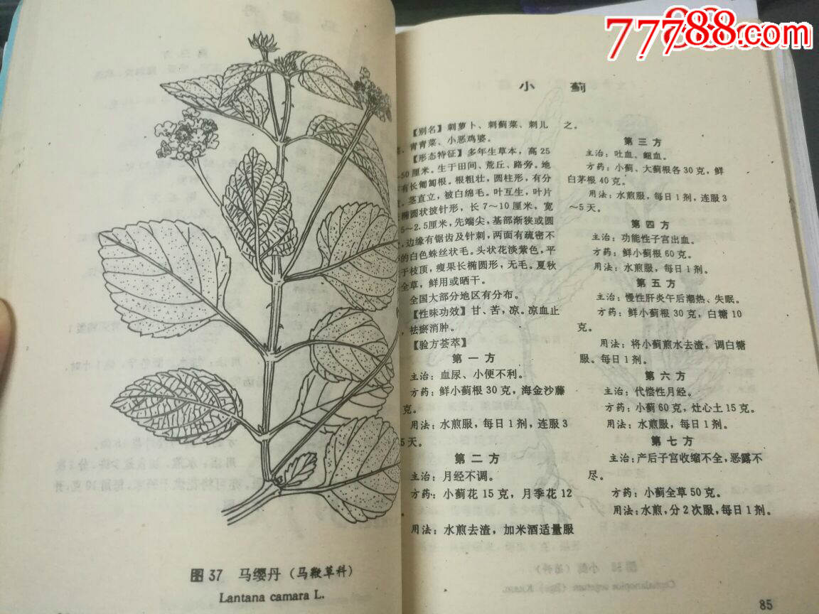 【中国民间百草良方】-医书/药书-7788旧书网