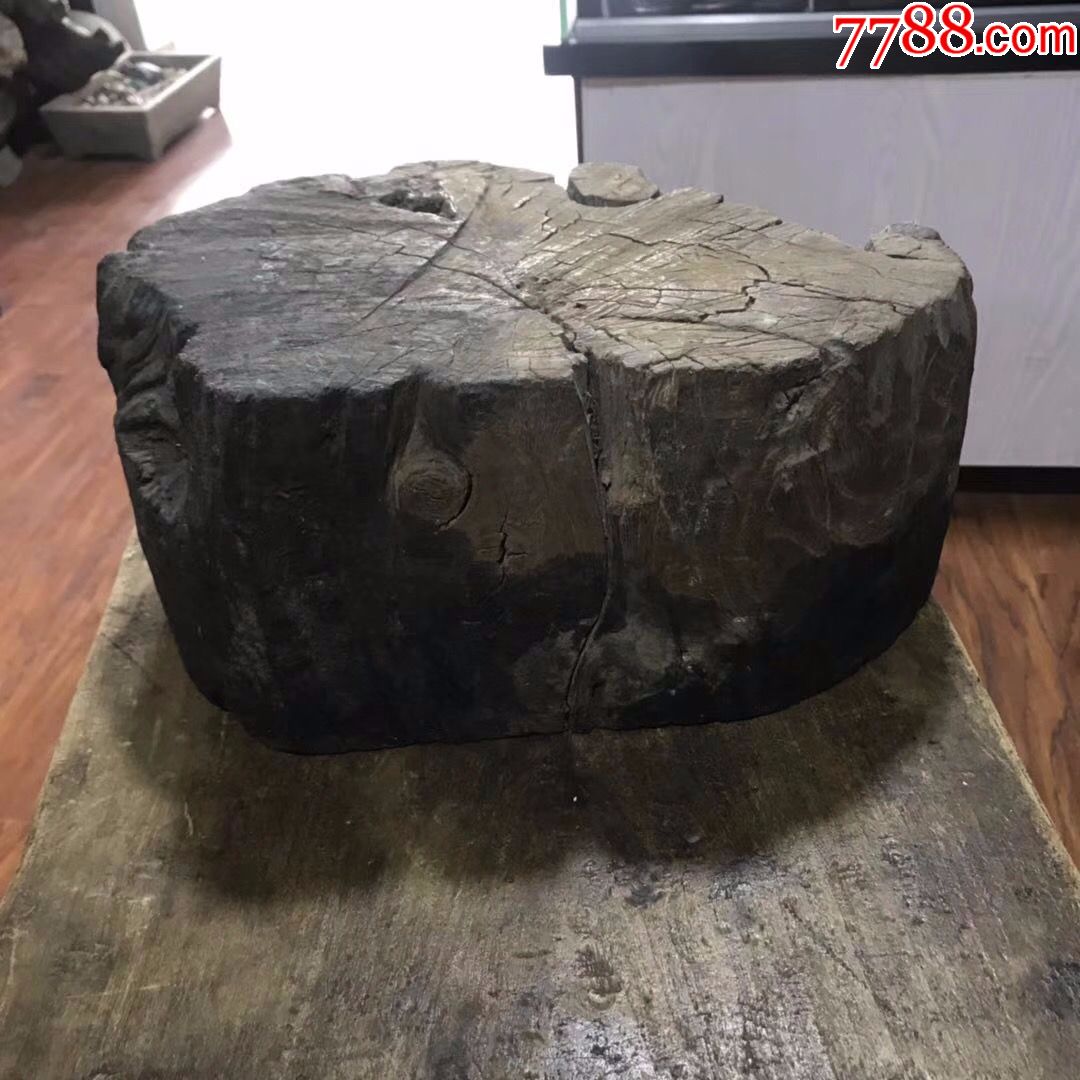 【酬宾】老木墩