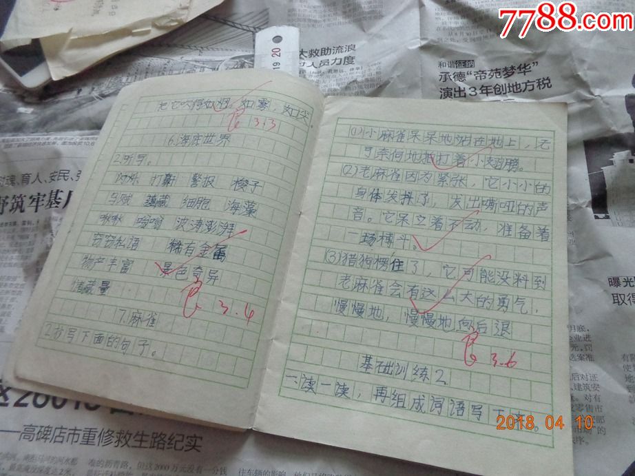 作文本