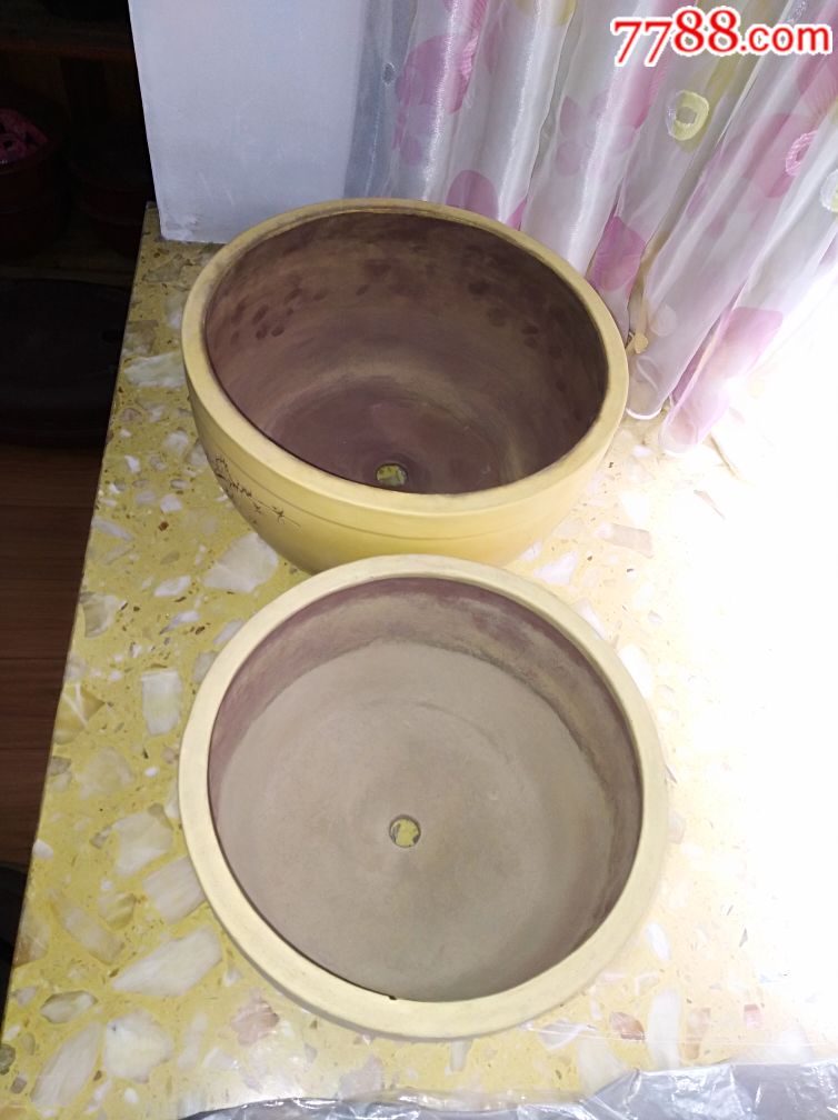 名人粉段登鼓盆4个