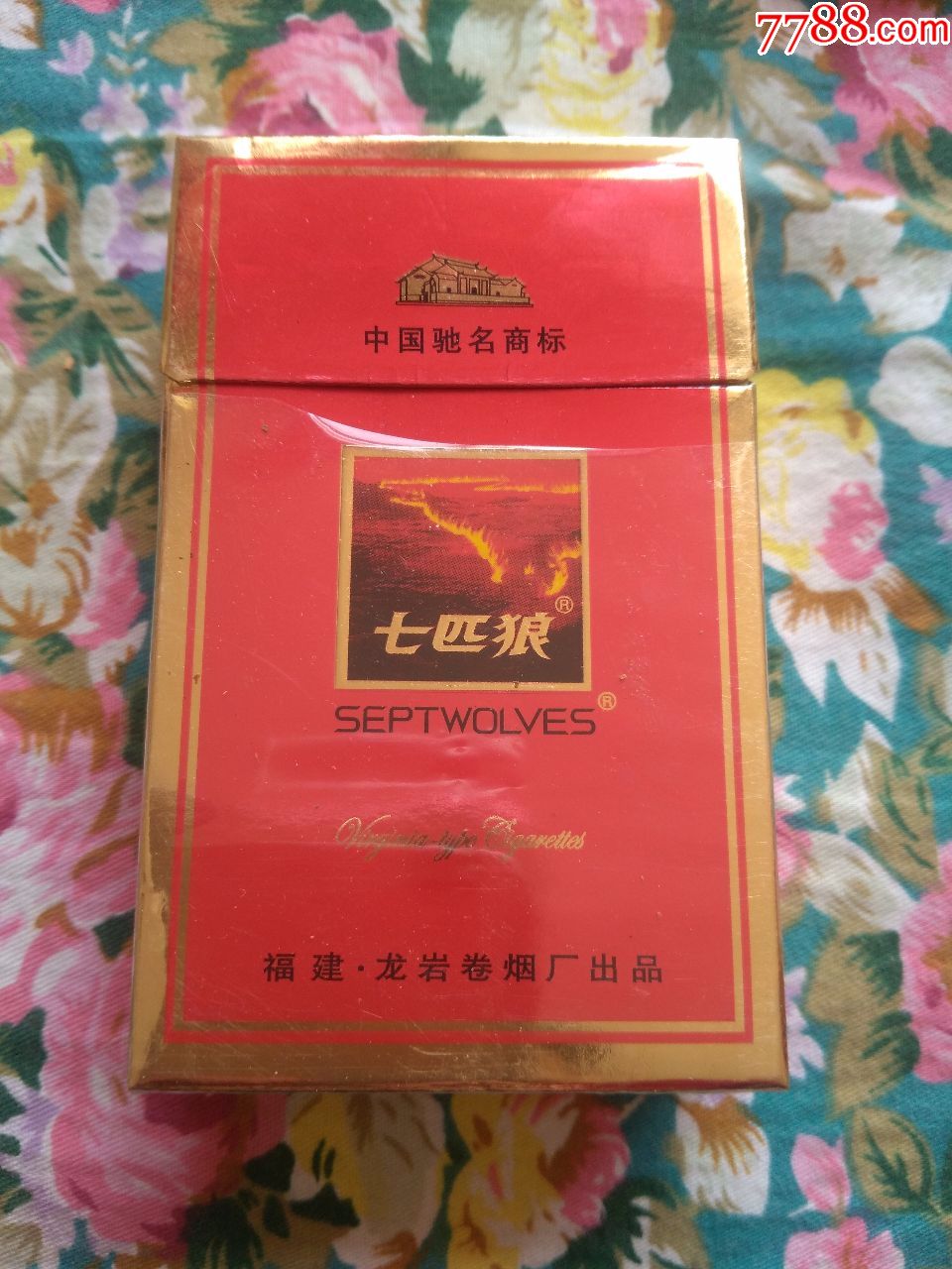 七匹狼古田焦14
