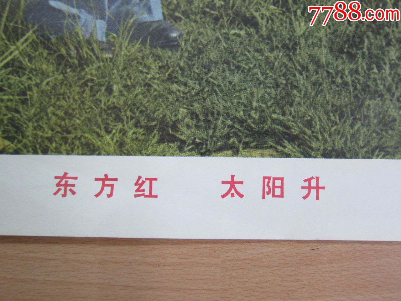 宣传画,东方红太阳升,4开