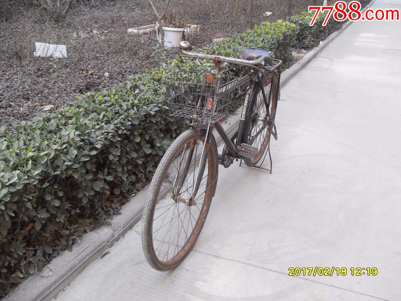 大金鹿自行车大洋车大轮车