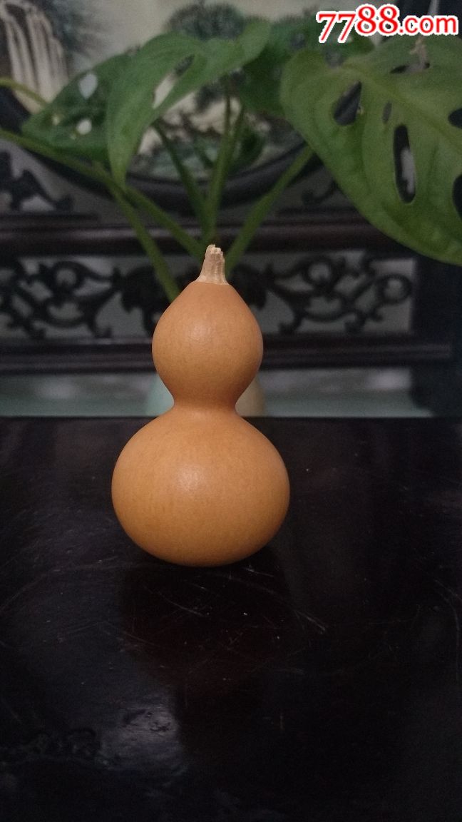 精品小葫芦