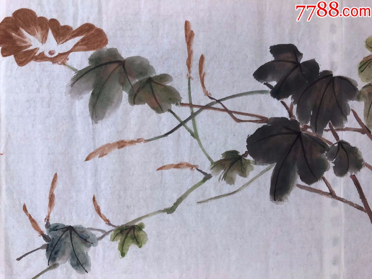 90年代手绘真迹【杨炯】国画,98,工笔写意花鸟画,牵牛花